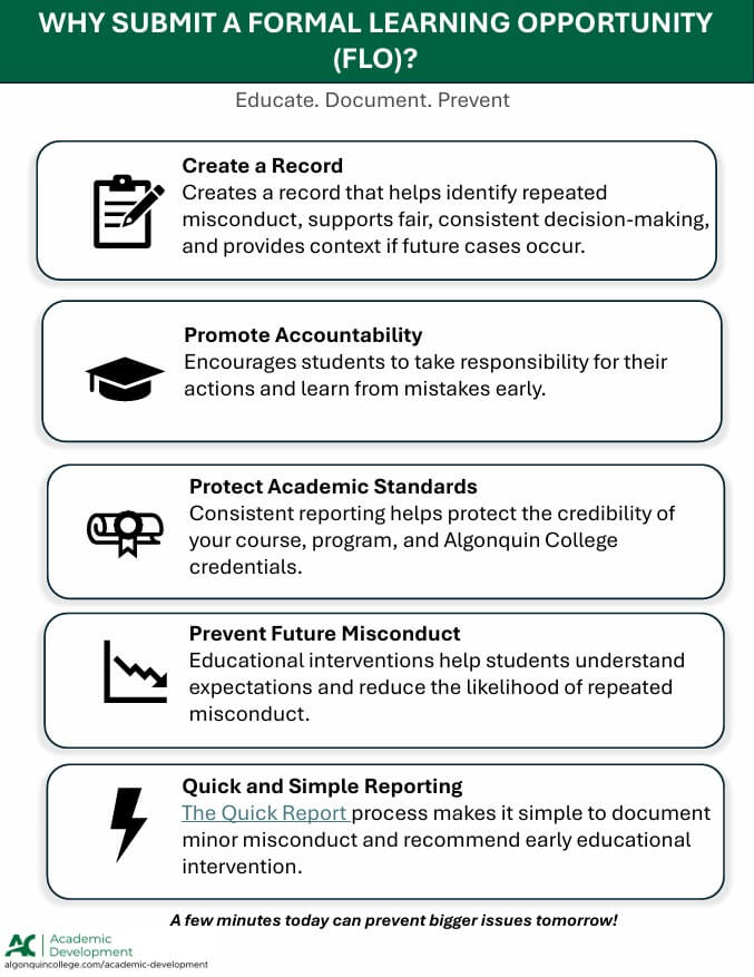 Academic Integrity Misconduct Learner Experience
