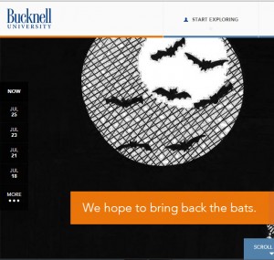 Bucknell University