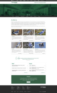 Sample layout option two for new department landing page template (2024)