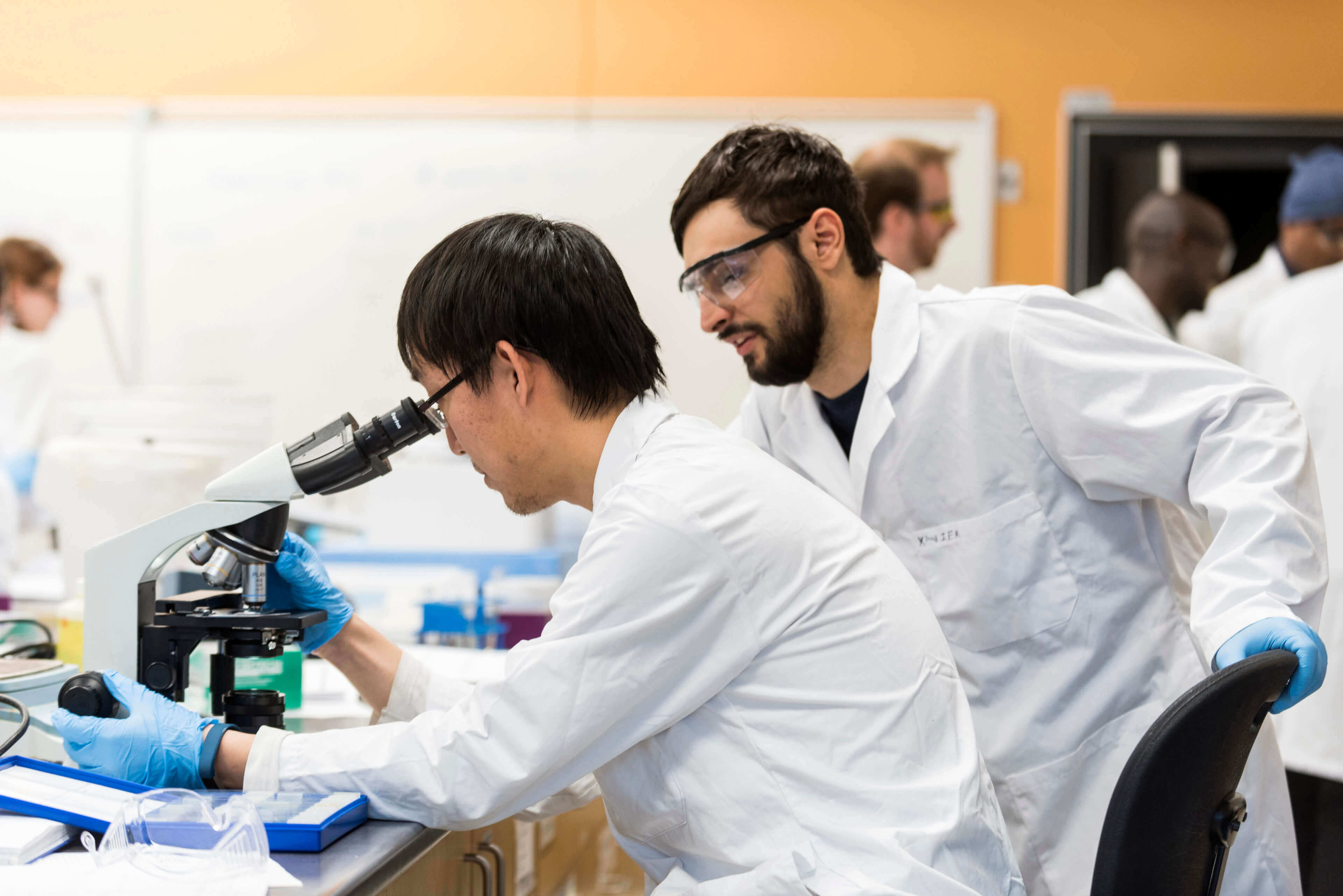 Student looking into a microscope while another student looks on