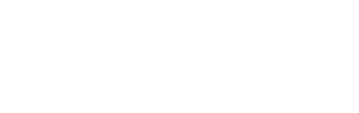 A LEADER IN POLYTECHNIC