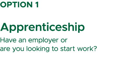 Option 1 Apprenticeship Have an employer or are you looking to start work?