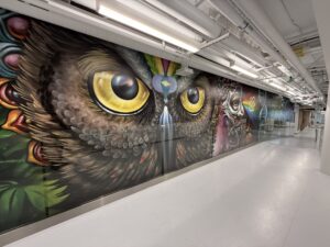 Owl image