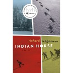 Indian Horse