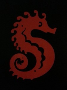 seahorse