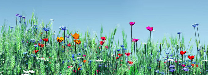 may2015banner