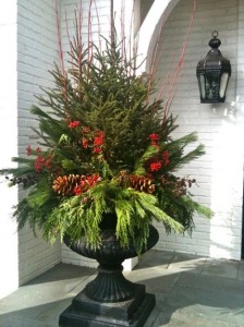winter-gardening-6