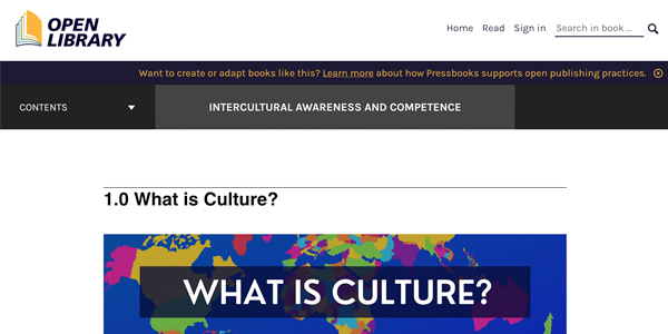 What is Culture?