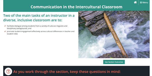 Communication in the Intercultural Classroom