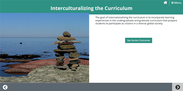 Interculturalizing the Curriculum