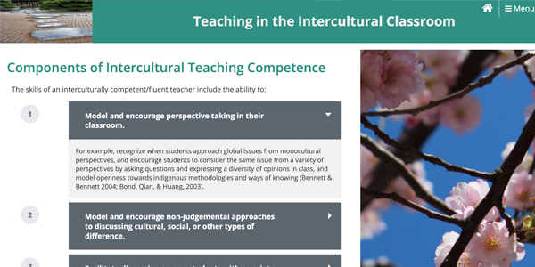 Teaching in the Intercultural Classroom