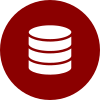 Data icon