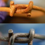 Comparison of rusted metal wires and clean metal wires