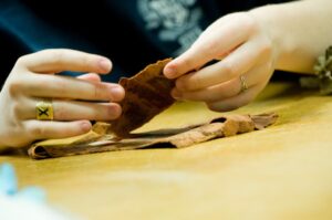 Student working with paper artifact