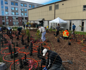 students and learners planting Tiny Forest at Ottawa campus