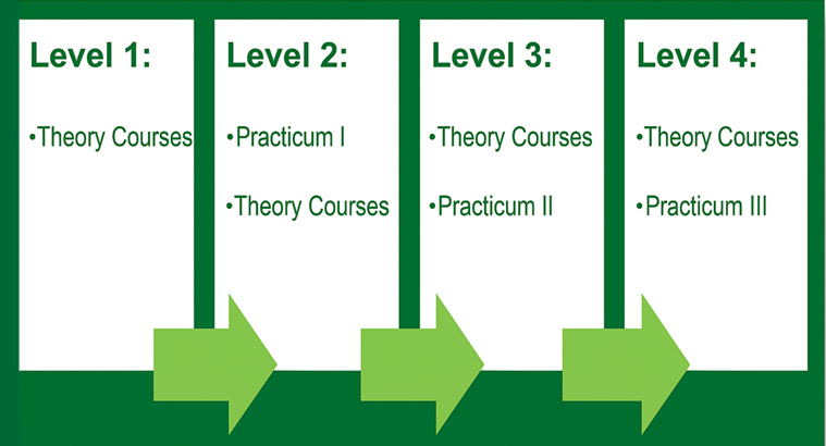 Four Levels of placement, Level 1: Theory Courses. Level 2: Placement 1, Theory Courses. Level 3: Placement 2, Theory Courses. Level 4: Placement 3, Theory Courses
