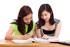Peer Tutoring Image - 2 girls