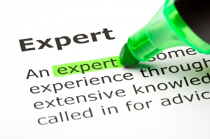 definition of expert-resized-600
