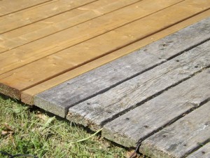 Picture of boardwalk