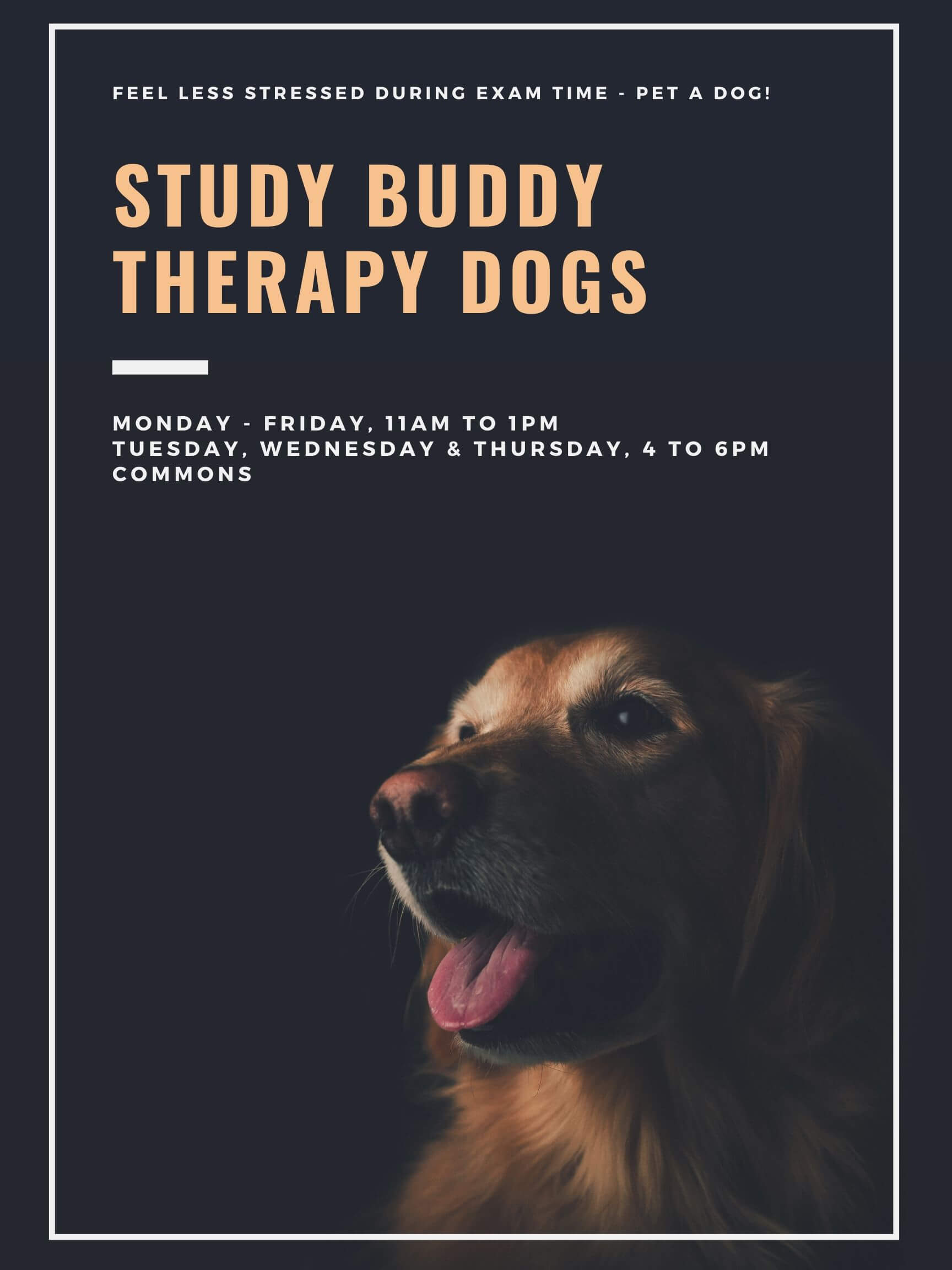 Study Buddy Therapy Dogs, Algonquin College, Pembroke Campus