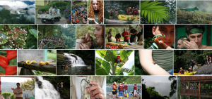 Rainforest & Tropical Science Course, Photo Gallery, Algonquin College