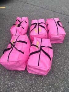 Packing Bags
