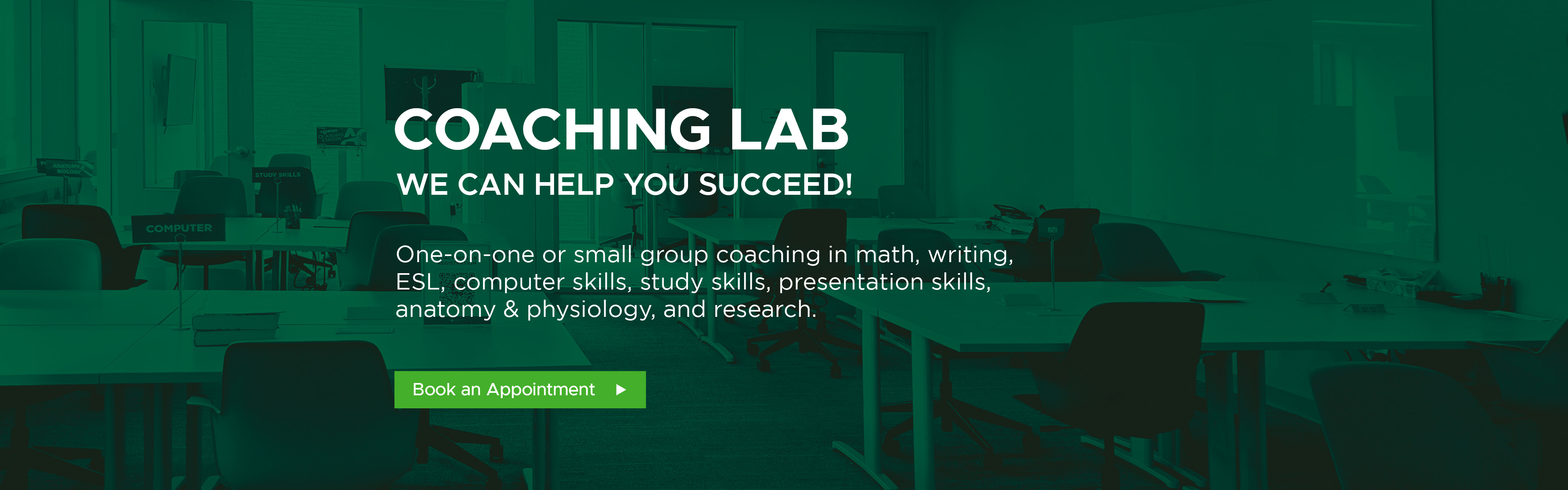 One on one or small group coaching in math, writing, ESL, computer skills, study skills, presentation skills, anatomy, & physiology, and research.