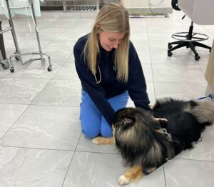 Women kneeling on the floor in a Veterinary Clinic petting a dog.